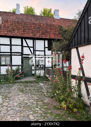 Altes weißes und braunes Scheunenhaus mit grüner Tür und rotem Ziegeldach und Kopfsteinpflastersteinen im Hof davor. Foto aufgenommen in Österlen, Schweden, Sommer 2023 Stockfoto