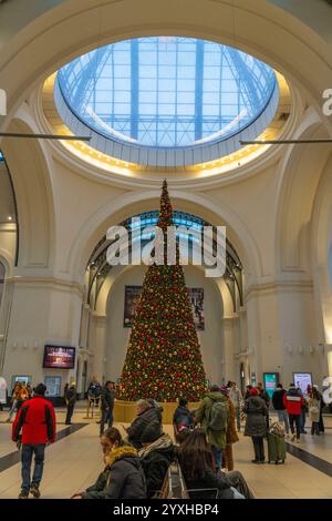 Der Weihnachtsbaum in der Halle des Dresdener Hauptbahnhofeas in Dresden in Sachsen. *** Der Weihnachtsbaum im Saal des Dresdener Hauptbahnhofs in Dresden, Sachsen Stockfoto