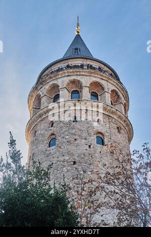 Niedrigwinkelaufnahme des Galata-Turms mit Einem Baum, Istanbul, Türkei Stockfoto