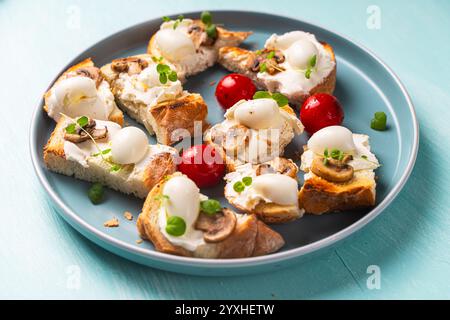 Mini-Toast mit Hüttenkäse, Wachteleiern, Kirschtomaten, Pilzen und Mikrogrün auf einer blauen Platte. Hochwertige Fotos Stockfoto