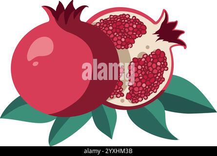Granatapfelfrucht - Vektor-Illustration Stock Vektor