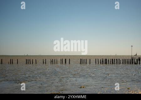 Blick aufs Meer vom Cudmore Grove Country Park East Mersea Stockfoto