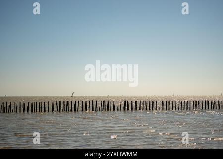 Blick aufs Meer vom Cudmore Grove Country Park East Mersea Stockfoto