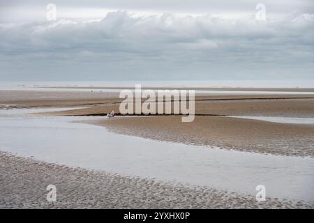 Cumber Sands an einem Herbsttag, Blick auf den Strand und den Ärmelkanal, East Sussex, England Stockfoto