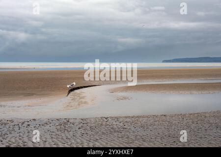 Cumber Sands an einem Herbsttag, Blick auf den Strand und den Ärmelkanal, East Sussex, England Stockfoto