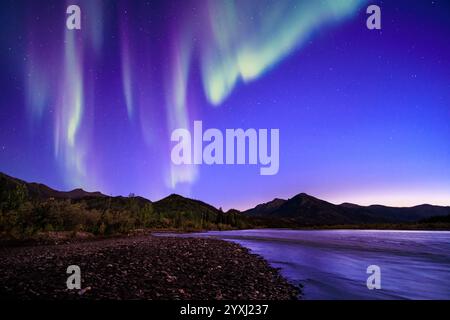 Die Aurora Borealis tanzt über dem Koyukuk River oberhalb des Polarkreises in Wiseman, Alaska Stockfoto