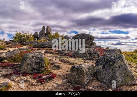 Die rote Bärenbeere umgibt Flechtenblöcke am Finger Mountain am Dalton Highway in Nord-Alaska. Stockfoto