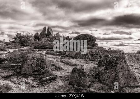 Die rote Bärenbeere umgibt Flechtenblöcke am Finger Mountain am Dalton Highway in Nord-Alaska. Stockfoto