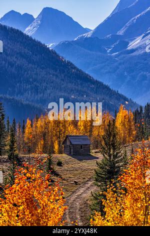 Eine alte, verwitterte Hütte auf einem Hügel in der Nähe des Molas Pass in den San Juan Mountains von Colorado. Stockfoto