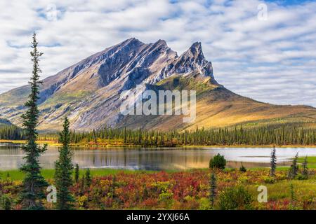 Der sonnendurchflutete Sukakpak Mountain spiegelt sich Ende August in einem kleinen See, der von einer bunten Tundra umgeben ist, in der Brooks Range in Alaska. Stockfoto