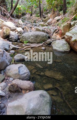 Mickeys Creek Gorge - Carnarvon Gorge Stockfoto