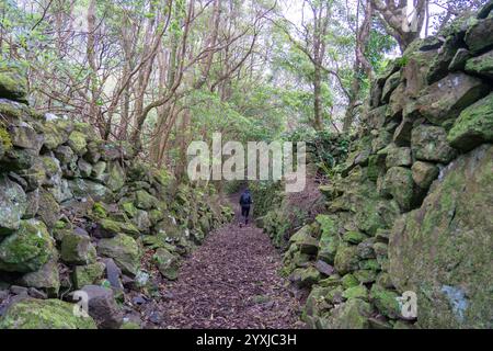 Fußgängerweg zum Brunnen von ribeira do ferreiro auf der Blumeninsel der Azoren Stockfoto