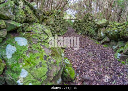 Fußgängerweg zum Brunnen von ribeira do ferreiro auf der Blumeninsel der Azoren Stockfoto