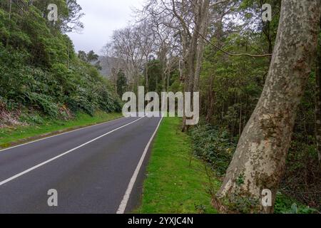 Fußgängerweg zum Brunnen von ribeira do ferreiro auf der Blumeninsel der Azoren Stockfoto