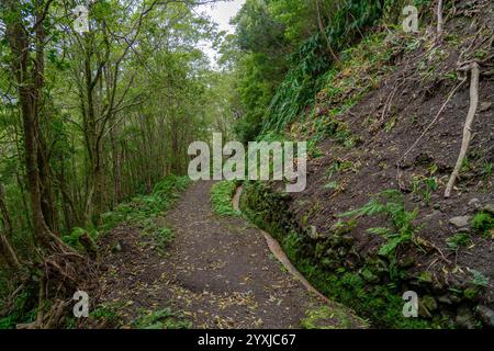 Fußgängerweg zum Brunnen von ribeira do ferreiro auf der Blumeninsel der Azoren Stockfoto