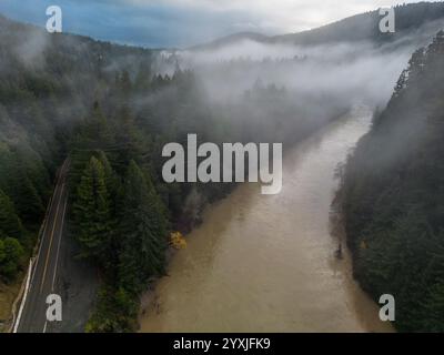 Die zerklüftete und dramatische Waldlandschaft Nordkaliforniens mit einem schlammigen Fluss, der durch die Wildnis und Mammutbäume fließt. Stockfoto