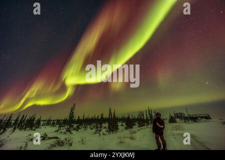 Ein aurora Selfie unter dem Bogen der Nordlichter in Churchill, Manitoba, Kanada. Stockfoto