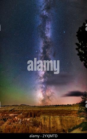 Der Sommermilchweg auf der nördlichen Hemisphäre über den Hoodoo-Formationen des Bryce Canyon National Park, Utah. Stockfoto