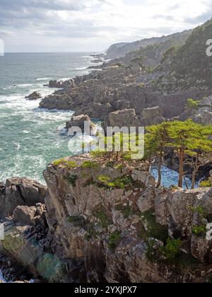 Blick vom Yokonuma Observatory entlang des Michinoku Coastal Trail Stockfoto