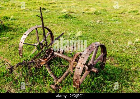 Ein verrosteter alter Traktor sitzt auf einem Grasfeld. Die Szene hat eine nostalgische und etwas melancholische Stimmung Stockfoto