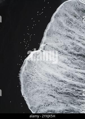 Eine Schar Möwen sitzt am Strand in Nordkalifornien, während Wellen über den schwarzen Sand in der Lost Coast in der Wildnis der Kings Range strömen. Eine Drohnenansicht. Stockfoto