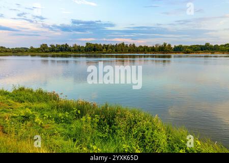 Weichsel Flusslandschaft im Sommer am frühen Abend mit Flussufer mit wilden Stränden und Uferdamm in der Nähe des Dorfes Czerwinsk in der Region Mazovia in Polen Stockfoto