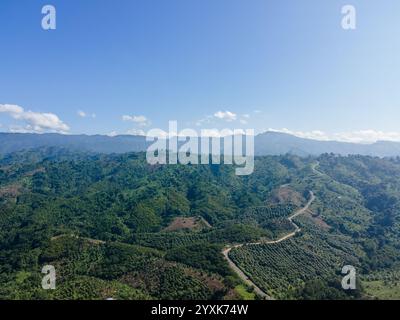 Drohnenblick auf die malerische Landschaft von Bandarban, Bangladesch. Tourismus in Bangladesch Stockfoto