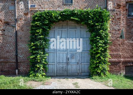 Altes Backsteinhaus mit Holztür umgeben von grünen Kletterpflanzen. Stockfoto