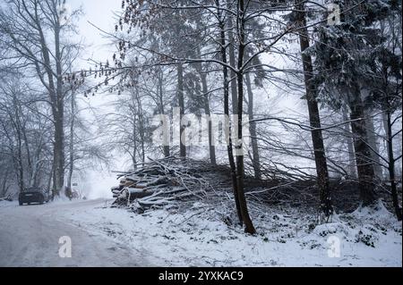 Winterlandschaft in einem Wald mit viel Schnee, schneebedeckten Holzhaufen, einer Straße und einem geparkten Auto Stockfoto