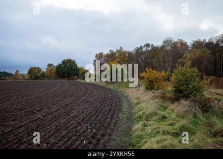 Leichter landwirtschaftlicher Boden Sutton Heath Suffolk UK Stockfoto