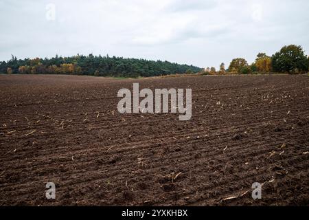 Leichter landwirtschaftlicher Boden Sutton Heath Suffolk UK Stockfoto