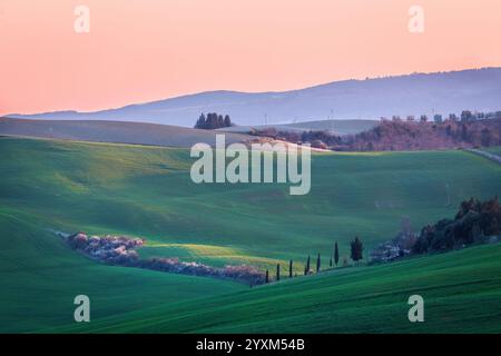 Sanfte Hügel der Toskana bei Sonnenaufgang, in weichem Nebel getaucht. Ein ruhiger Bauernhof umgeben von Zypressen und üppigem Grün schafft ein traumhaftes, malerisches Ambiente Stockfoto