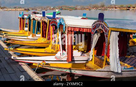 Shikaras, Kaschmirs berühmte Holzboote, gleiten anmutig auf dem unberührten Dal Lake. Sie sind mit komplizierten Designs gestaltet und bieten eine ruhige Zuflucht. Stockfoto