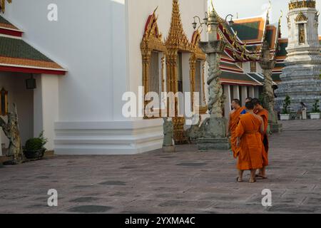Bangkok, Thailand - 29. November 2024: Junger Mönch, junge buddhistische Mönche im Wat Pho Tempel Stockfoto