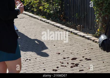 Eine Frau läuft mit einer schwarzen Handtasche einen Bürgersteig hinunter. Der Bürgersteig ist aus Ziegeln und hat einen Schattenwurf Stockfoto