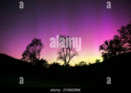 Northern Lights, Aurora Borealis, Fleet Valley National Scenic Area, in der Nähe des Gatehouse of Fleet, Dumfries & Galloway, Schottland Stockfoto