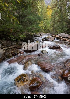 Canyon und Wasserfälle, Avalanche Creek, Glacier National Park, Montana, USA Stockfoto