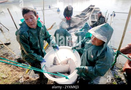 Huzhou, chinesische Provinz Zhejiang. Dezember 2024. Die Dorfbewohner tragen Fische, die im Dorf Dongheng in Luoshe, Bezirk Deqing, Stadt Huzhou, ostchinesische Provinz Zhejiang, 17. Dezember 2024 gefangen wurden. Die Dorfbewohner hier nutzen die laufende Winterfischsaison, um den Markt mit frischen Fischernten zu versorgen. Quelle: Xie Shangguo/Xinhua/Alamy Live News Stockfoto