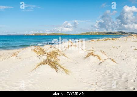 Der breite Sandstrand ist Arenas Biancas, Sardinien, Italien Stockfoto