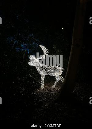 Weihnachtsbeleuchtung in Kew Gardens, London, Großbritannien Stockfoto