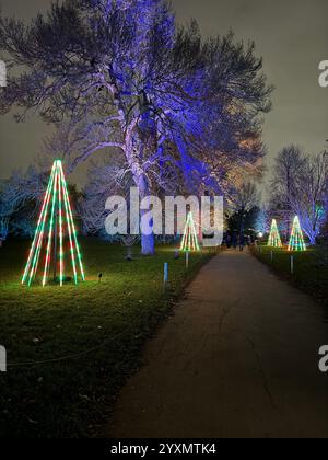 Weihnachtsbeleuchtung in Kew Gardens, London, Großbritannien Stockfoto