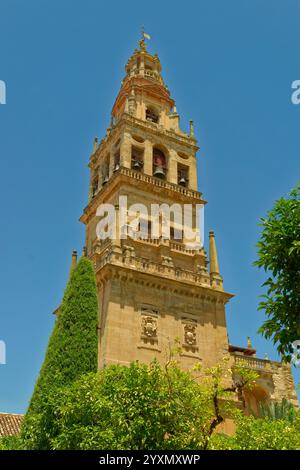 Historischer Glockenturm von La Mezquita-Catedral de Córdoba in Cordoba, Provinz Cordoba in Zentralspanien. Stockfoto