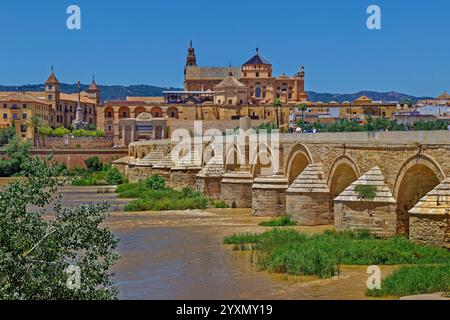 Die Römische Brücke und die ehemalige Moschee, heute eine Kathedrale, in Cordoba, Spanien. Stockfoto