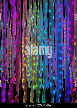 Weihnachtsbeleuchtung in Kew Gardens, London, Großbritannien Stockfoto