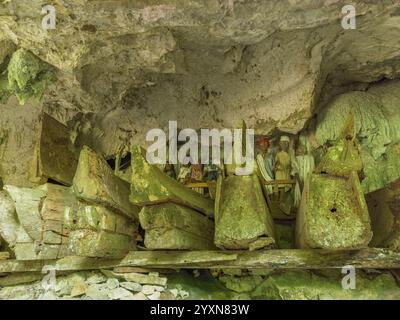 Alte Grabstätten, alte Holzsärge und geschnitzte Puppen, Felsengräber, Tau Tau Lemo, Rantepao, Tana Toraja, Sulawesi, Indonesien, Asien Stockfoto