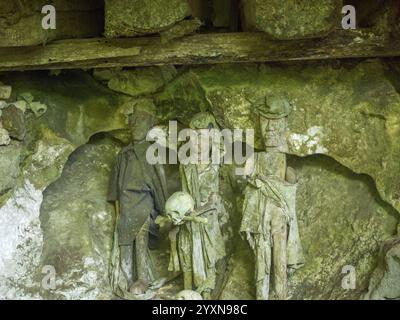 Alte Gräber, Felsengräber, Tau Tau Lemo, Tana Toraja, Rantepao, Sulawesi, Indonesien, Asien Stockfoto