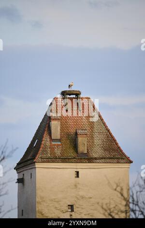 Weißstorch (Ciconia ciconia) auf einem Nest auf einem Turm, Bayern, Deutschland, Europa Stockfoto