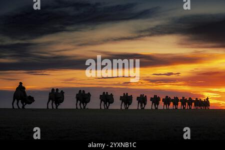 Kamelstatue in der Wüste Gobi Stockfoto