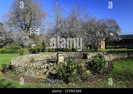 Blick auf den Frühling in Swanspool Gardens, Wellingborough Town, Northamptonshire, England, Großbritannien Stockfoto