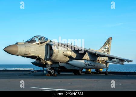 Die italienische Marine AV-8B+ Harrier II Plus auf dem Flugdeck des ITS Cavour Flugzeugträgers. Stockfoto